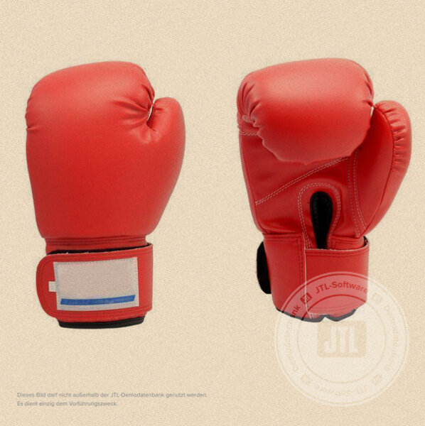 Kopie von Boxhandschuhe 10 #1